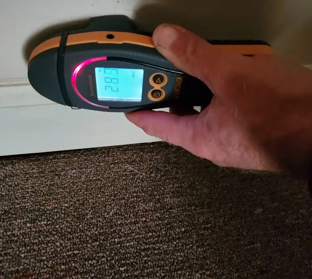 Moisture detection at baseboard during Sewage Cleanup & Sanitation in Oscoda